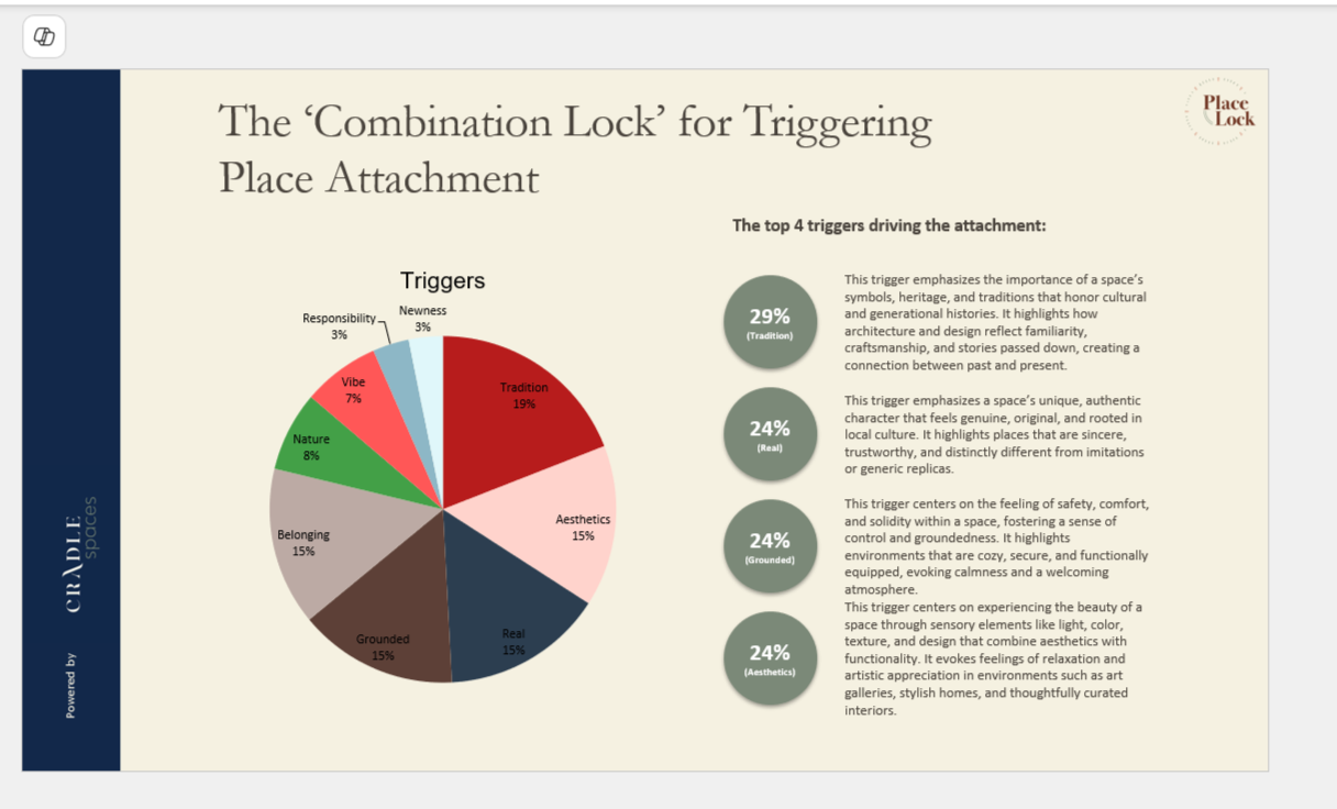 PlaceLocks Insight Classifier project view 5