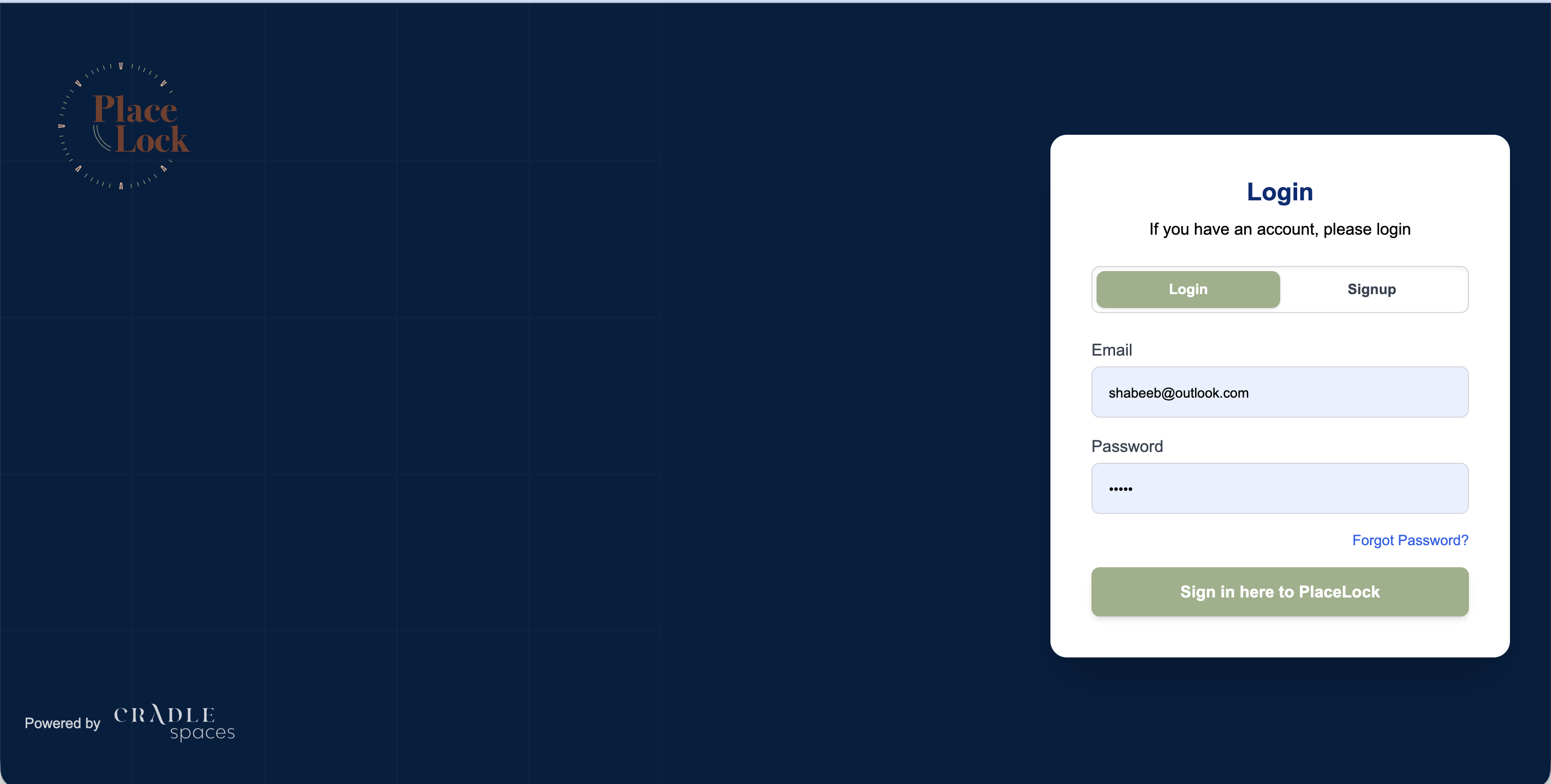 PlaceLocks Insight Classifier interface preview